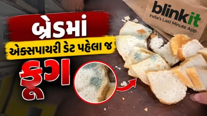 વેસુમાં બ્લિન્કિટની બ્રેડમાં એક્સપાયરી ડેટ પહેલા જ ફૂગ