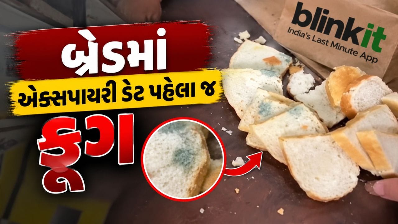 Breaking News : વેસુમાં બ્લિન્કિટની બ્રેડમાં એક્સપાયરી ડેટ પહેલા જ ફૂગ, ફૂડ સેફ્ટી પર પ્રશ્નાર્થ
