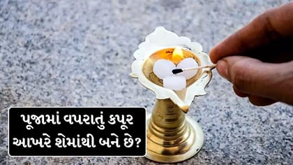 પૂજામાં વપરાતું કપૂર આખરે શેમાંથી બને છે? જાણો રસપ્રદ વાત