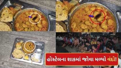 સુરતની બોય્ઝ હોસ્ટેલના ભોજનમાં નીકળ્યો વંદો! મેસ એજન્સી સામે કાર્યવાહી