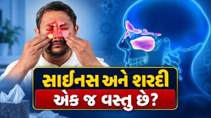 સાઇનસ અને શરદી એક જ વસ્તુ છે?