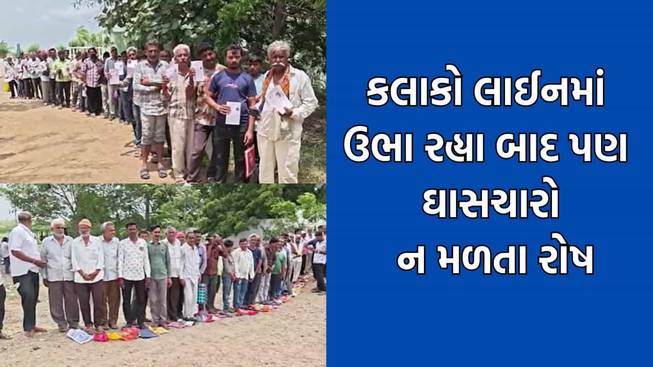 ખંભાળિયા તાલુકાના પશુપાલકો ઘાસચારા માટે ધક્કા ખાવા મજબુર, કલાકો સુધી કતારોમાં ઉભા રહ્યા બાદ નથી મળતો ચારો- Video