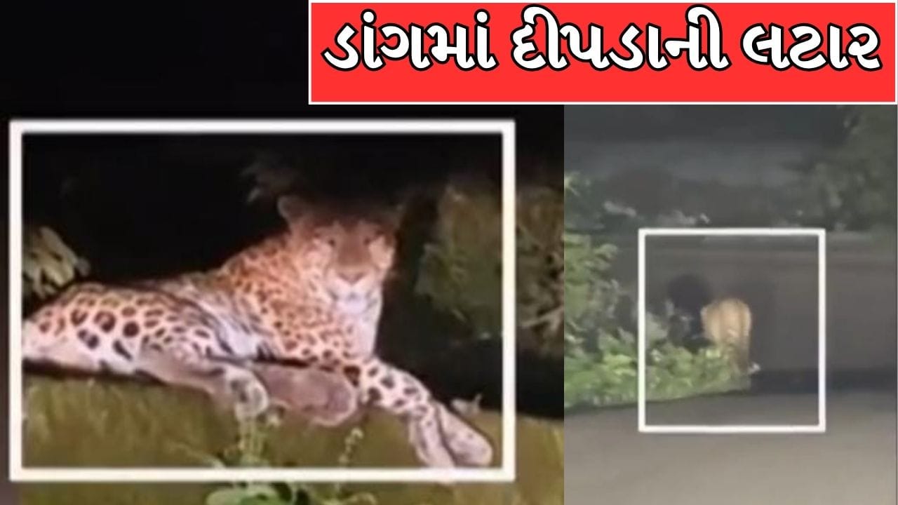 Breaking News : ડાંગમાં દીપડાની લટાર, સાપુતારા ઘાટમાં કાર સામે દીપડો આવ્યાનો વાયરલ થયો વીડિયો ! પ્રવાસીઓ માટે ચેતવણી