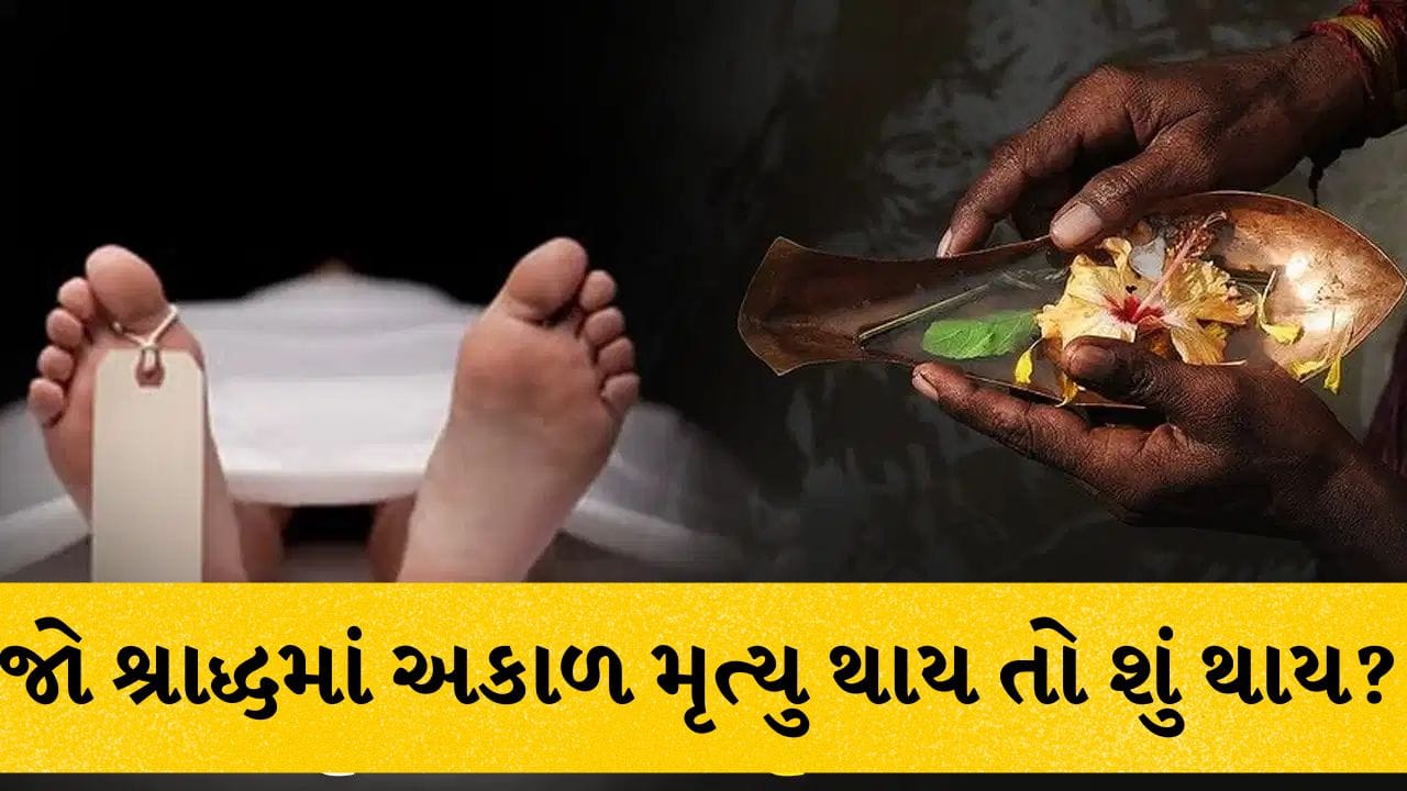 Pitru Paksha 2026 : પિતૃપક્ષમાં મૃત્યુ થવું શુભ કે અશુભ ? શ્રાદ્ધ પક્ષમાં અકાળ મૃત્યુ થાય તો શું થાય?