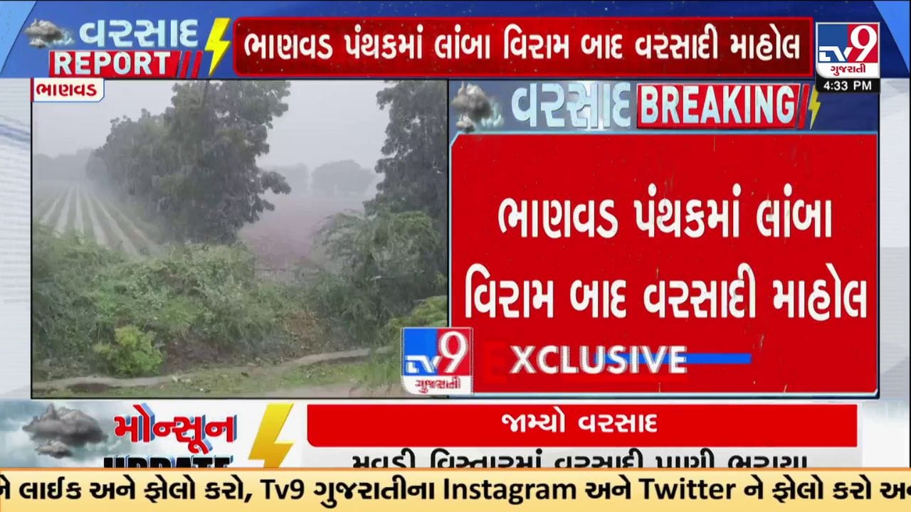 Devbhumi Dwarka Rain Breaking : ભાણવડ પંથકમાં લાંબા વિરામ બાદ મેઘમહેર, 1 ઇંચ વરસાદથી ખેડૂતોમાં આનંદ Devbhumi Dwarka Rain Breaking : ભાણવડ પંથકમાં લાંબા વિરામ બાદ મેઘમહેર, 1 ઇંચ વરસાદથી ખેડૂતોમાં આનંદ