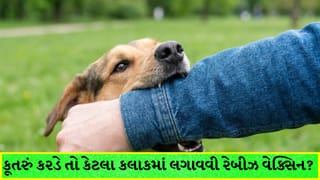 કૂતરું કરડે તો કેટલા કલાકમાં રેબીઝની રસી લેવી જરૂરી ? જાણો તાત્કાલિક સારવાર અને સાચો સમય
