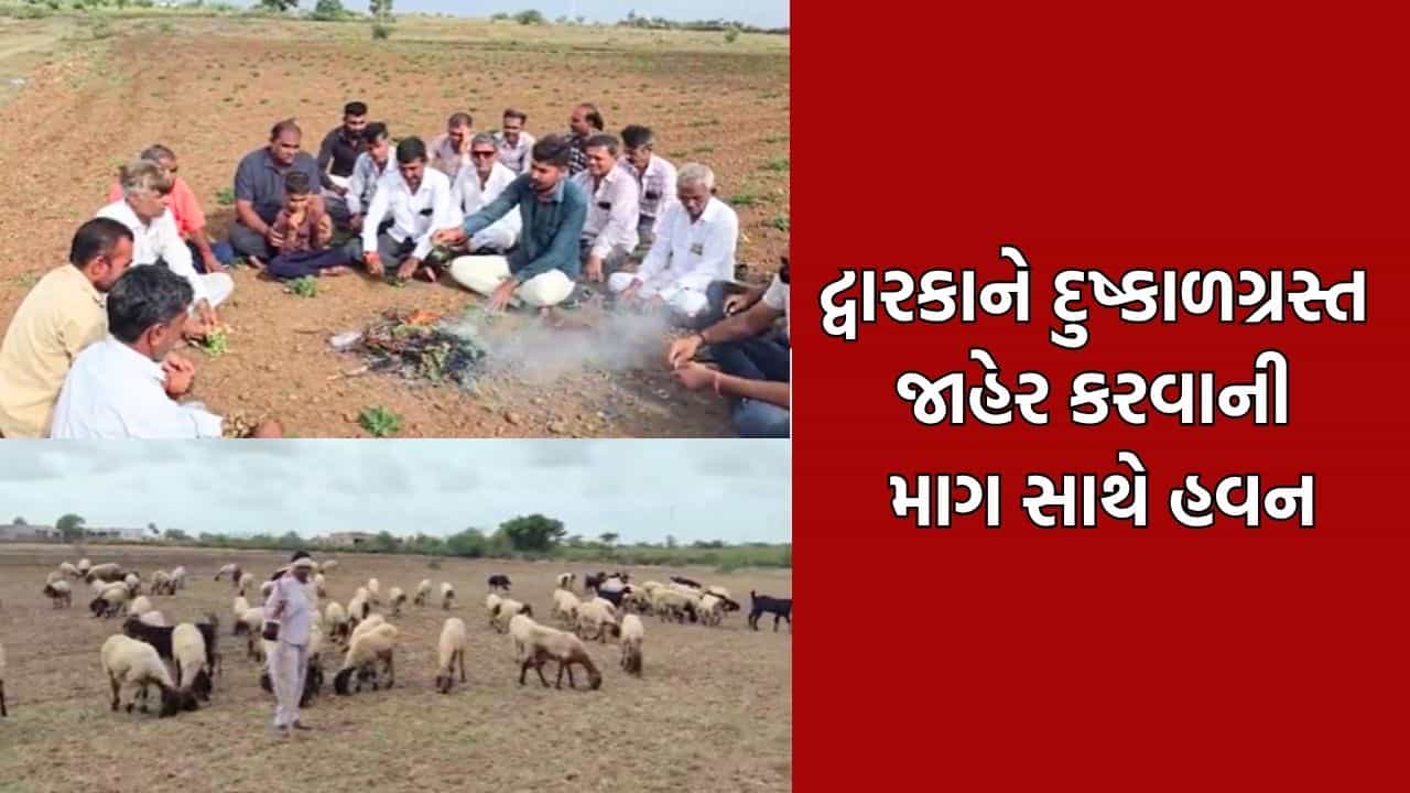 દ્વારકા જિલ્લાના ખેડૂતોએ ખેતરમાં હવન કરી સરકારે જગાડવા કર્યો પ્રયાસ, જિલ્લાને દુષ્કાળગ્રસ્ત જાહેર કરવાની માગ