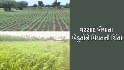 વરસાદ ખેંચાતા ખેડૂતો પર સંકટના વાદળો, સિંચાઈ માટે પાણી આપવા માગ