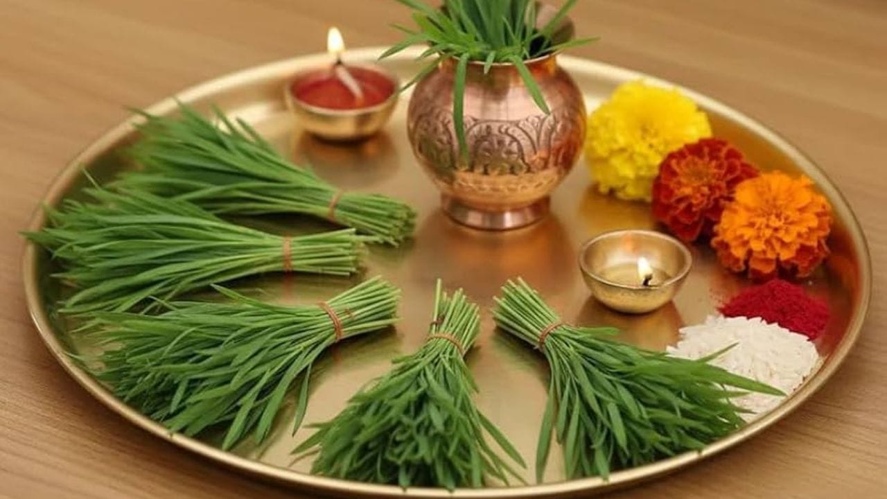 દુર્વા અને પૂજાની સામગ્રી ખરીદો : ભગવાન ગણેશને દુર્વા ખૂબ જ પ્રિય હોવાનું ધાર્મિક માન્યતાઓમાં જણાવવામાં આવે છે. ગણેશ ચતુર્થીની પૂજામાં દુર્વા ઉપરાંત મોદક, ફળ, ફૂલ અને અન્ય પૂજા સામગ્રીનો પણ ઉપયોગ કરવામાં આવે છે. તેથી બાપ્પાના આગમન પહેલાં પૂજા માટે જરૂરી સામગ્રી ખરીદીને તૈયાર રાખવી શુભ માનવામાં આવે છે.
