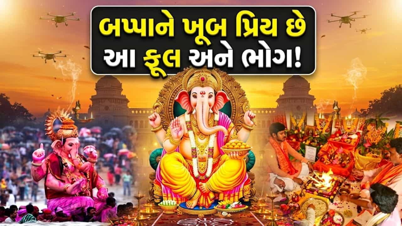 ગણપતિ બાપ્પાને પ્રસન્ન કરવાની સાચી રીત કઈ ? કયા ફૂલ અને કયા ભોગ ધરાવવા ? જાણો પૂજા કરવાની યોગ્ય વિધિ