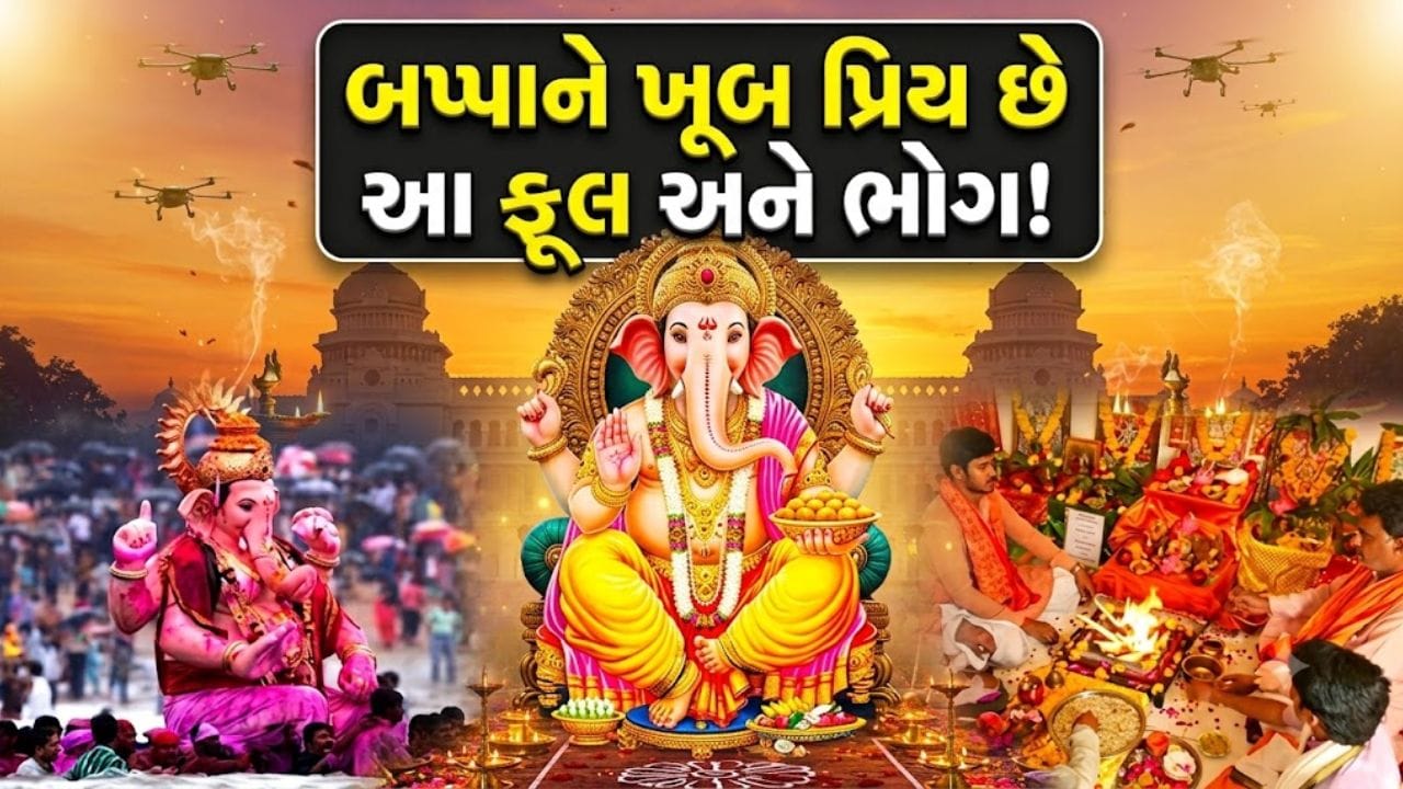 ગણપતિ બાપ્પાને પ્રસન્ન કરવાની સાચી રીત કઈ ? કયા ફૂલ અને કયા ભોગ ધરાવવા ? જાણો પૂજા કરવાની યોગ્ય વિધિ