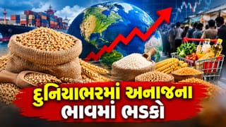 Breaking News : તહેવાર પહેલાં મોંઘવારીનો મોટો ઝટકો, દુનિયાભરમાં અનાજની કિંમતો 2022 પછી સૌથી ઊંચા સ્તરે પહોંચી; ખિસ્સા પર પડશે સીધી અસર !
