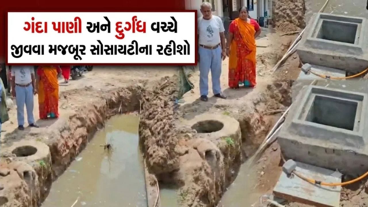 Breaking News: કલોલની આનંદ પાર્ક સોસાયટીમાં ગંદા પાણીનો ત્રાસ, તંત્ર ઘોર નિદ્રામાં ને રહીશો રોગચાળાના ભય હેઠળ - જુઓ Video Breaking News: કલોલની આનંદ પાર્ક સોસાયટીમાં ગંદા પાણીનો ત્રાસ, તંત્ર ઘોર નિદ્રામાં ને રહીશો રોગચાળાના ભય હેઠળ - જુઓ Video