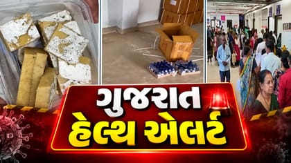 કાજુ કતરીમાં ફૂગ, ગેરકાયદે દવાઓની હેરાફેરી અને ડેન્ગ્યુનો વ્યાપ વધ્યો
