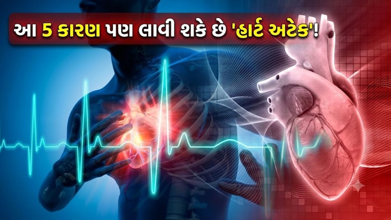 હાર્ટ અટેક માત્ર કોલેસ્ટ્રોલથી નહીં, આ 5 કારણો પણ જવાબદાર