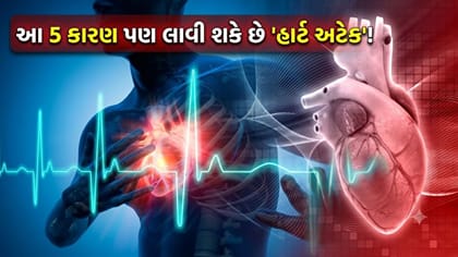 માત્ર કોલેસ્ટ્રોલ જ નહીં, આ 5 કારણ પણ લાવી શકે છે 'હાર્ટ અટેક'