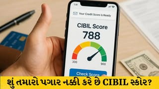 શું મોટો પગાર સારો CIBIL સ્કોર બનાવે છે? જાણો કમાણી અને ક્રેડિટ સ્કોર વચ્ચેનું અસલી ગણિત