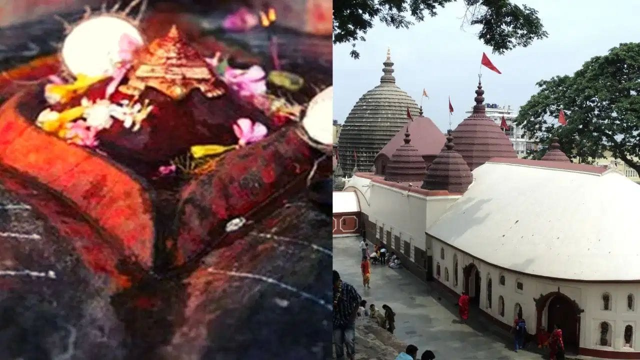 અસમના ગુવાહાટીમાં સ્થિત મા કામાખ્યા મંદિર દેશના પ્રમુખ શક્તિપીઠોમાં ગણાય છે. આ મંદિર તંત્ર સાધના માટે પણ ખૂબ મશહૂર છે. અહીં દર વર્ષે યોજાતા અંબુબાચી મેળા દરમિયાન અને સામાન્ય દિવસોમાં પણ બકરા તેમજ કબૂતર જેવા પશુઓની બલિ આપવાની પરંપરા છે. દુર્ગા પૂજાના પ્રસંગે પાડા (ભેંસ) અને બતકની બલિ પણ આપવામાં આવે છે. બલિ આપ્યા પછી માસને દેવીનો ભોગ માનીને શ્રદ્ધાળુઓમાં પ્રસાદ રૂપે વહેંચવામાં આવે છે. જો કે, નરબલિ જેવી જૂની પ્રથાઓ હવે સંપૂર્ણપણે બંધ થઈ ચૂકી છે પરંતુ પશુ બલિની પરંપરા આજે પણ ચાલુ છે.