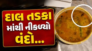 Breaking News : સુરતની આ હોટલના દાલ તડકાના પાર્સલમાંથી મૃત વંદો નીકળ્યો અને પછી જે થયું તે જુઓ Video