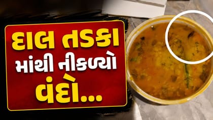 સુરતમાં રાધાકૃષ્ણ હોટલના ફૂડ પાર્સલમાંથી મૃત વંદો મળ્યો