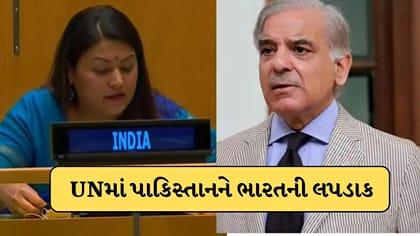 UNમાં પાકિસ્તાનને ભારતની લપડાક, ઓસામા બિન લાદેનનો ઉલ્લેખ કરી ઘેર્યું