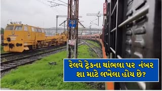 Indian Railways : રેલવે ટ્રેકની બાજુમાં આવેલા થાંભલા પર નંબર શા માટે લખેલા હોય છે ? જાણો કેવી રીતે બચાવે છે અકસ્માત અને જીવ