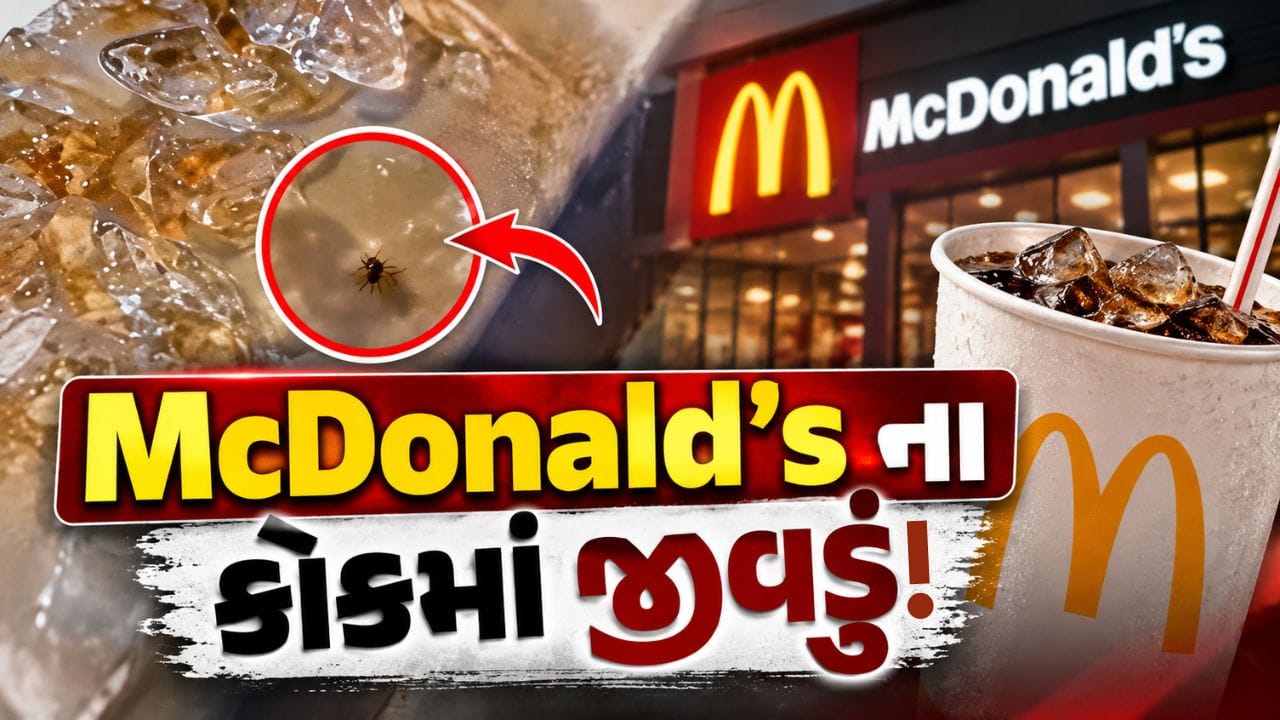 મેકડોનાલ્ડ્સના કોકમાં જીવડું: મહેસાણામાં ફૂડ સેફ્ટી પર ગંભીર સવાલો