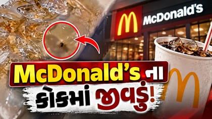 મહેસાણા મેકડોનાલ્ડ્સ: કોલ્ડ્રિંકમાં જીવડું મળ્યાનો ગ્રાહકોનો આક્ષેપ