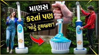 Trending Video: બાથરૂમમાં પણ નહીં સમાય આટલું ‘મોટું ટૂથબ્રશ’, ગિનીસ વર્લ્ડ રેકોર્ડ્સ 2027 માં નામ દાખલ