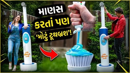 Trending Video: શું તમે ક્યારેય 6 ફૂટ કરતાં પણ ઊંચું ટૂથબ્રશ જોયું છે?