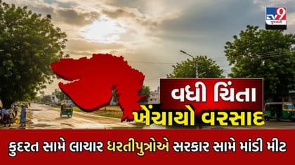 વરસાદ ખેંચાવાને કારણે ધરતીપુત્રો કુદરત સામે લાચાર, પાક નુકસાનીની ભીતિ