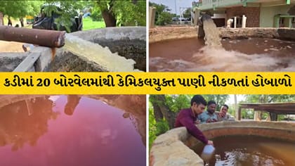 મહેસાણા: કડીના નંદાસણ પાસે કેમિકલયુક્ત પાણીથી ખેતી-આરોગ્ય જોખમમાં