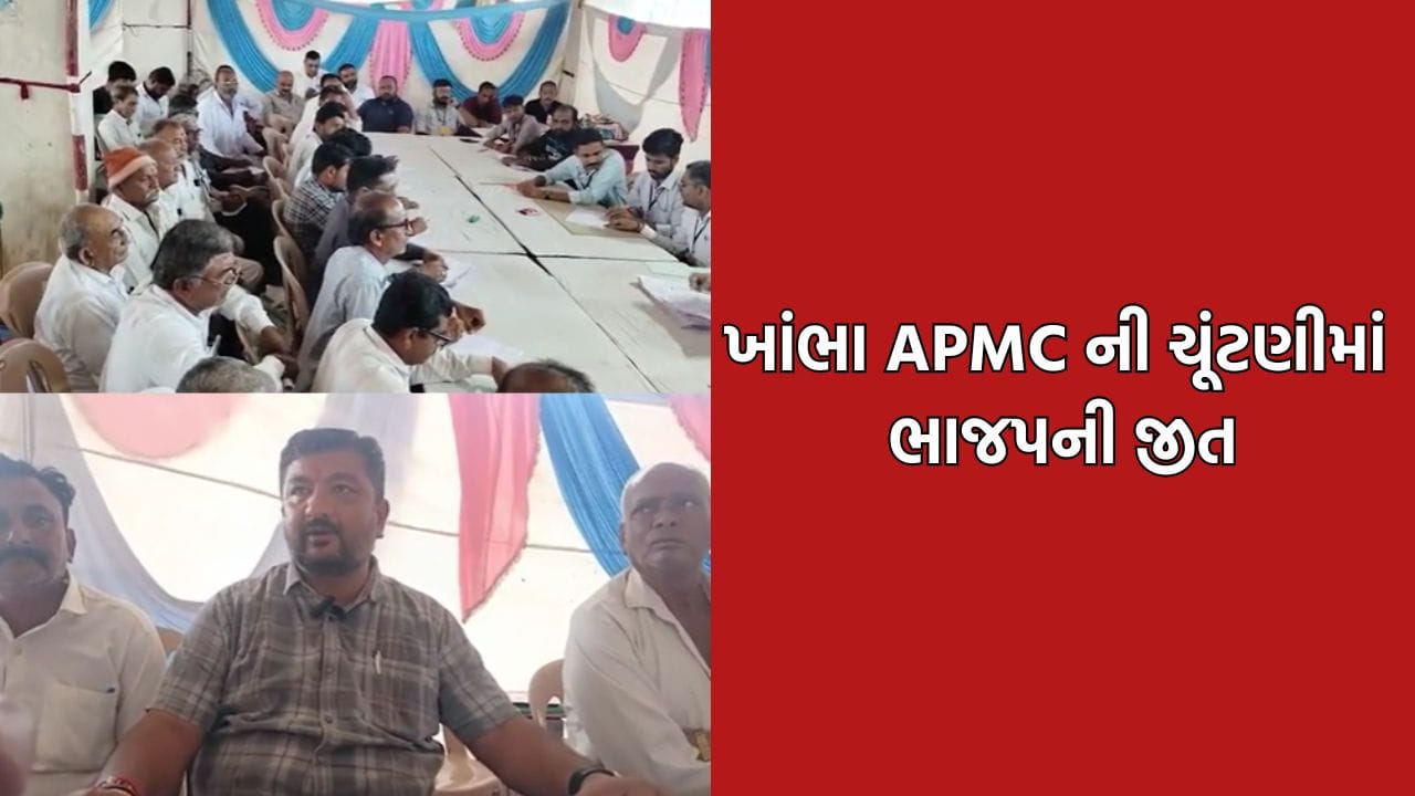 અમરેલી: ખાંભા APMC ની ચૂંટણીમાં ભાજપે લહેરાવ્યો વિજય પરચમ, તાલુકા ભાજપ પ્રમુખની હાર- Video અમરેલી: ખાંભા APMC ની ચૂંટણીમાં ભાજપે લહેરાવ્યો વિજય પરચમ, તાલુકા ભાજપ પ્રમુખની હાર- Video