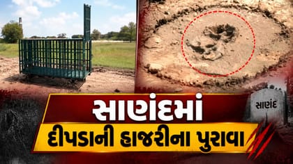 સાણંદમાં એક મહિનામાં ત્રીજી વખત દીપડાના પંજાના નિશાન, ગ્રામજનોમાં ભય
