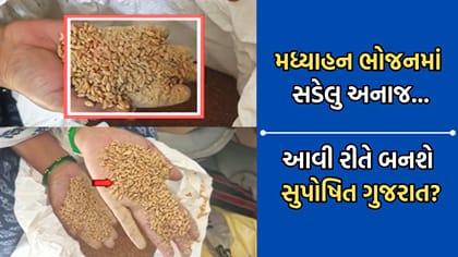મધ્યાહન ભોજન માટે સડેલા અનાજનો ઉપયોગ- આવી રીતે બનશે સુપોષિત ગુજરાત?