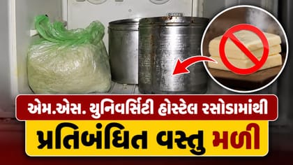એમ.એસ. યુનિવર્સિટી હોસ્ટેલ રસોડામાંથી પ્રતિબંધિત ચીઝ મળ્યું