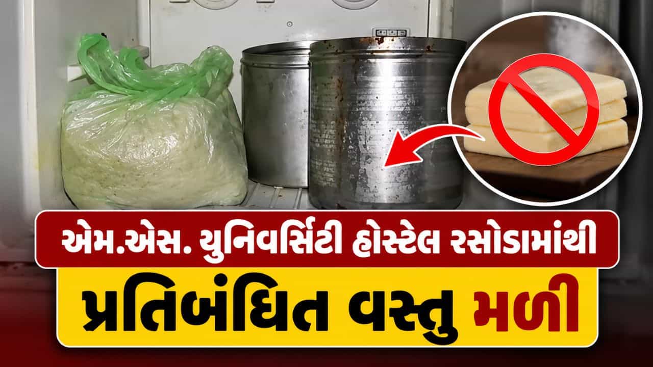 Breaking News : વડોદરા એમ.એસ. યુનિવર્સિટી હોસ્ટેલ રસોડામાંથી પ્રતિબંધિત એનાલોગ ચીઝ અને વાસી ખોરાક મળ્યો