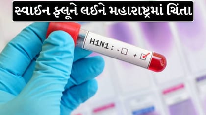 મહારાષ્ટ્રમાં H1N1નો વધતો ખતરો? ઓગસ્ટમાં સૌથી વધુ નોંધાયા કેસ