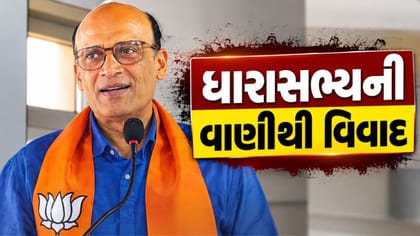 વડોદરામાં ધારાસભ્ય સતીષ પટેલના નિવેદનથી સંસ્કારી નગરીમાં નારાજગી