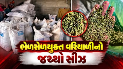 4,800 કિલોથી વધુ શંકાસ્પદ વરિયાળી અને પ્રતિબંધિત કલર ઝડપાયો