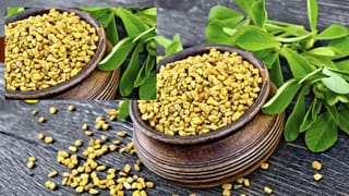 મેથીના દાણા આ લોકોએ ભૂલથી પણ ન ખાવા જોઈએ, જાણો