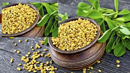 આ લોકોએ ક્યારે પણ મેથીના દાણા ખાવા જોઈએ નહી