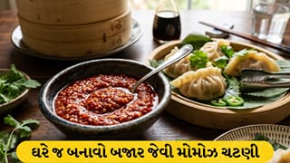 સ્ટ્રીટ સ્ટાઈલ મોમોઝની લાલ ચટણી હવે ઘરે જ બનાવો, સ્વાદ, સુગંધ અને ટેક્સચર રહેશે એકદમ પરફેક્ટ