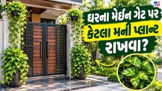Vastu Tips for Home : ઘરના મેઈન ગેટ પર કેટલા મની પ્લાન્ટ રાખવા? જાણો વાસ્તુના નિયમો