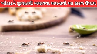 ચોમાસામાં રાશન બગડતાં પહેલાં જ સાવધાન! દાળ, ચોખા અને લોટને જીવાતથી બચાવવા અજમાવો આ 6 સરળ ઉપાય