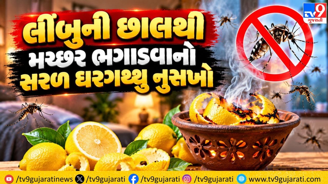 મચ્છરોના ત્રાસથી છો પરેશાન ? લીંબુની છાલ, કપૂર અને લીમડાના તેલનો આ નેચરલ દીવો મિનિટોમાં મચ્છરોને કરશે દૂર