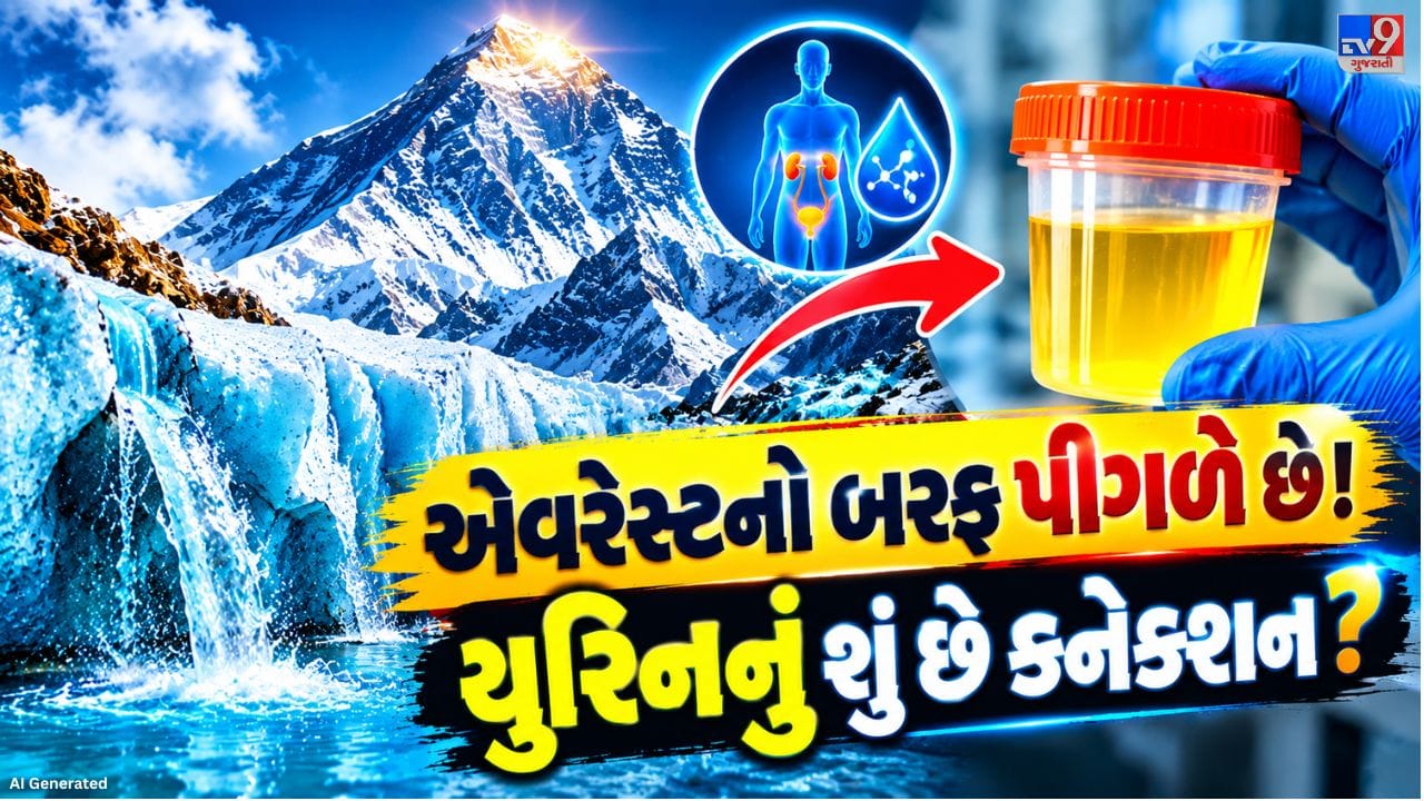 નેપાળ અને અમેરિકાના વૈજ્ઞાનિકોએ કરેલો આ અભ્યાસ “Regional Environmental Change” જર્નલમાં પ્રકાશિત થયો છે. સંશોધકોના જણાવ્યા મુજબ, ગ્લેશિયર પીગળવા પાછળનું સૌથી મોટું કારણ માનવ યુરિન નથી, પરંતુ ગ્લોબલ વોર્મિંગ અને વધતું તાપમાન છે. જોકે, પર્વતારોહકોનો પેશાબ એક વધારાના પરિબળ તરીકે અસર કરે છે. આ ઉપરાંત, બેઝ કેમ્પ પર બળતણ બાળવાથી અને અન્ય માનવીય પ્રવૃત્તિઓથી પણ આસપાસના વાતાવરણમાં ગરમી વધે છે, જેના કારણે પહેલેથી જ નાજુક ગ્લેશિયર પર વધુ અસર પડી શકે છે.