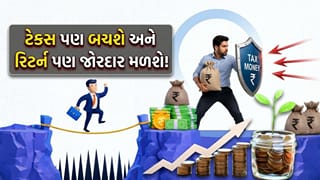 ઈન્કમ ટેક્સ બચાવવાની સાથે કમાવો 20% થી વધુનું વળતર, સૌથી ઓછા લોક-ઈન પિરિયડમાં મેળવો ‘અધધ રિટર્ન’