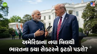 અમરેકિાના નવા બિલથી ભારત પર આવશે 100% ટેરિફનો બોજો, સૌથી વધુ ક્યાં સેક્ટર થશે પ્રભાવિત- વાંચો