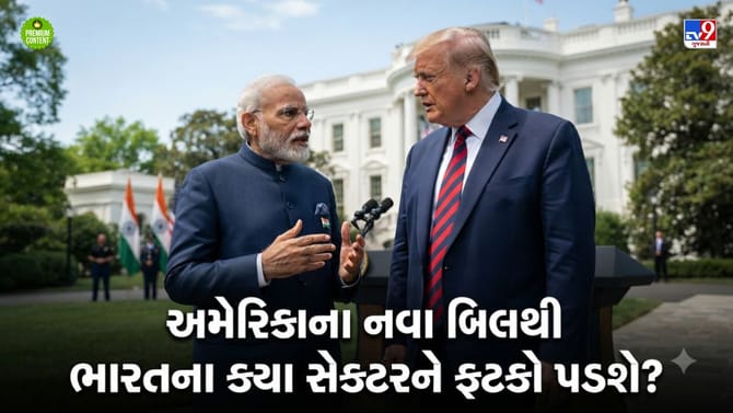 અમેરિકાના નવા બિલથી ભારતના સેક્ટરને મુખ્યત્વે પડશે ફટકો- વાંચો
